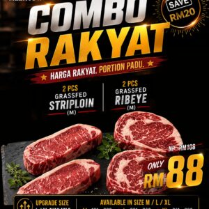 THE COMBO RAKYAT