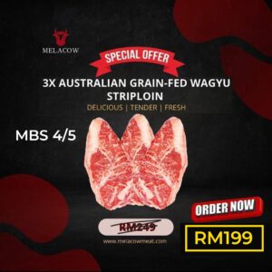 3X PCS OF AUSTRALIAN WAGYU STRIPLOIN MBS 4/5
